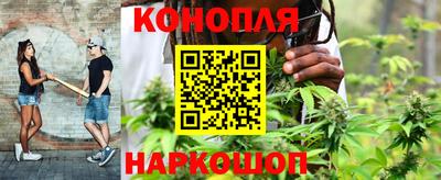 крисы Рыбинск